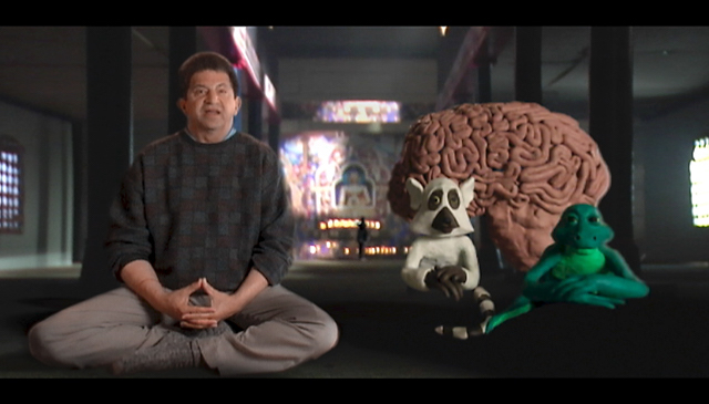 Mindfulness and The Triune Brain